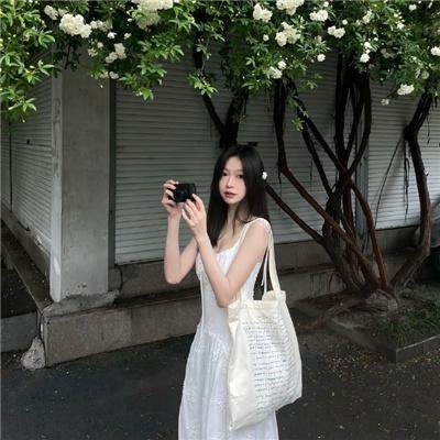龙公主的冒险